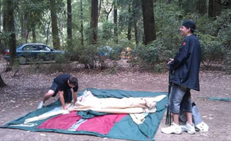 Andrew D.'s photo at Lower Blooms Creek — Big Basin Redwoods State Park — CAMPGROUND CLOSED near Saratoga, CA
