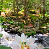 Review photo of Pickerel Point Campground — Promised Land State Park by Marissa G., September 20, 2021