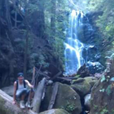 Review photo of Lower Blooms Creek — Big Basin Redwoods State Park — CAMPGROUND CLOSED by Andrew D., June 30, 2018