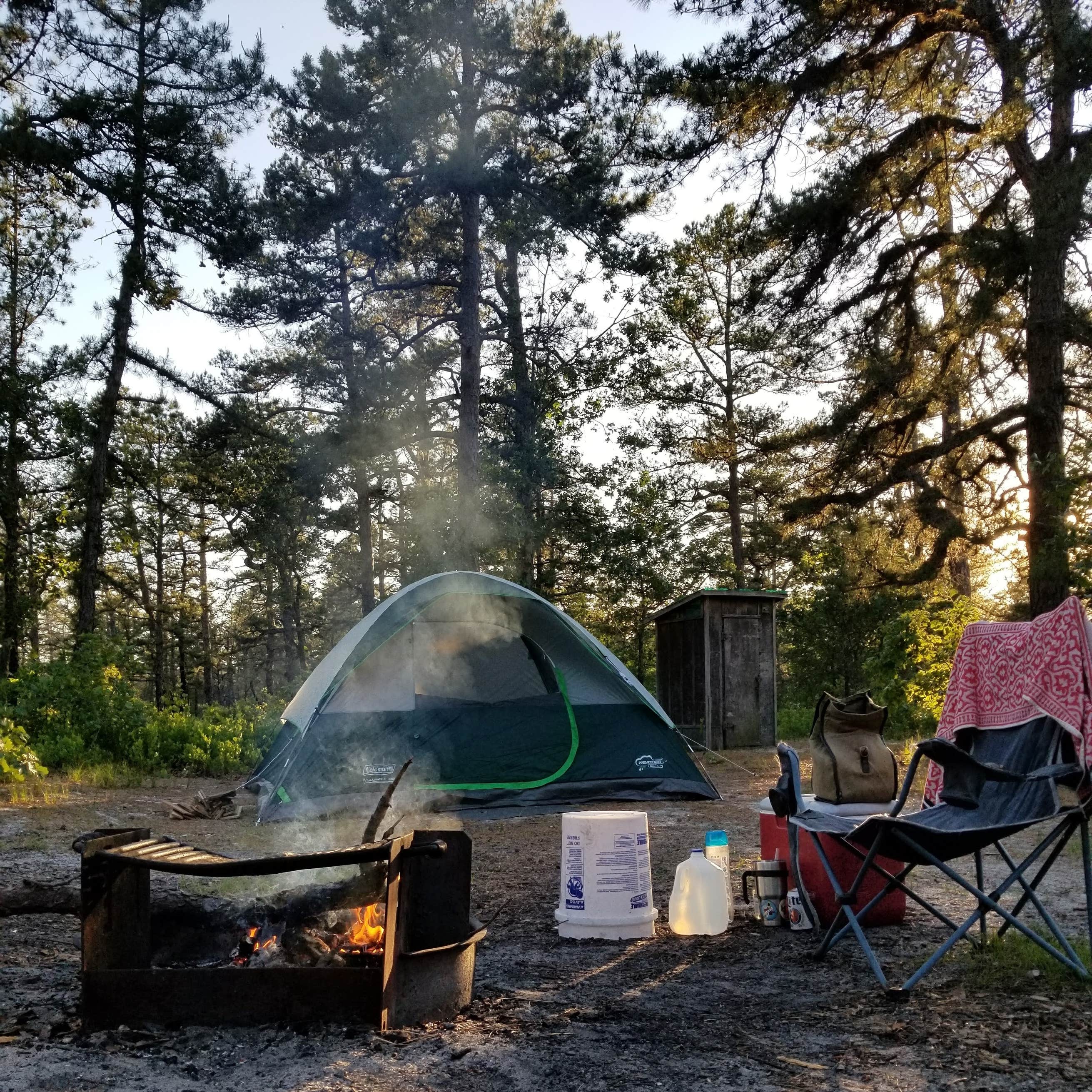 Wharton State Forest Lower Campground Camping The Dyrt