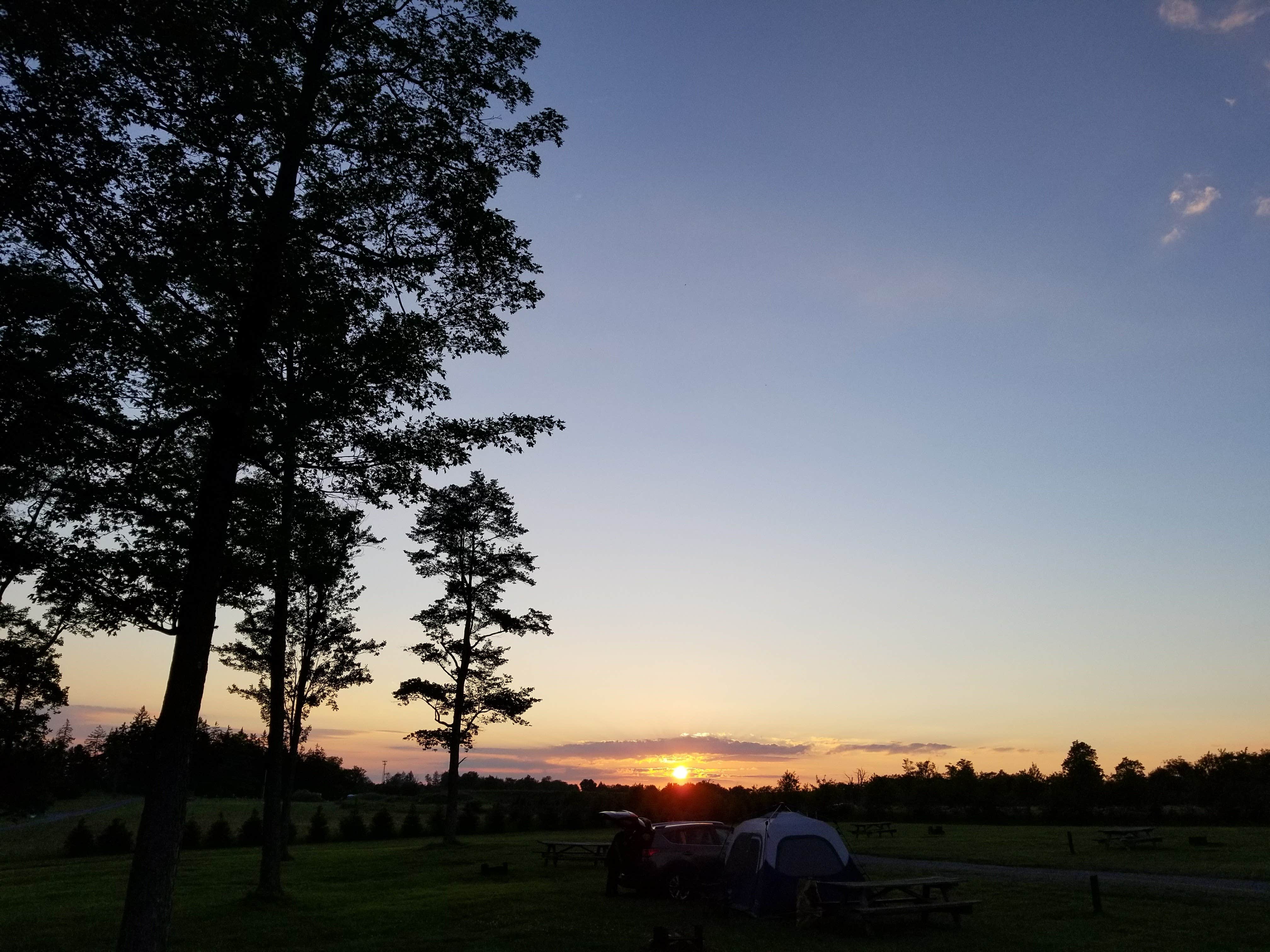 Marissa G.'s photo at Cherry Springs State Park Campground near Sabinsville, PA
