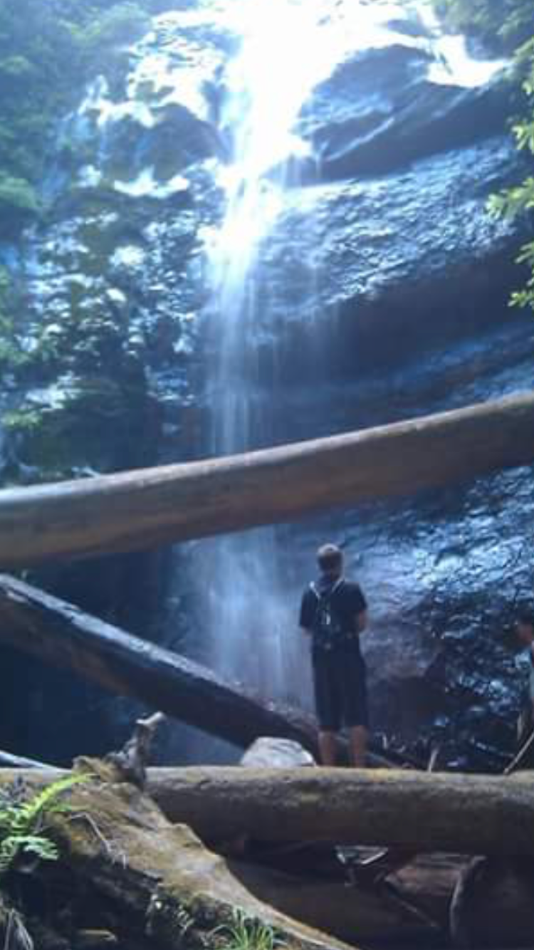 Lower Blooms Creek — Big Basin Redwoods State Park — CAMPGROUND CLOSED