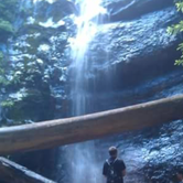 Review photo of Lower Blooms Creek — Big Basin Redwoods State Park — CAMPGROUND CLOSED by Andrew D., June 30, 2018