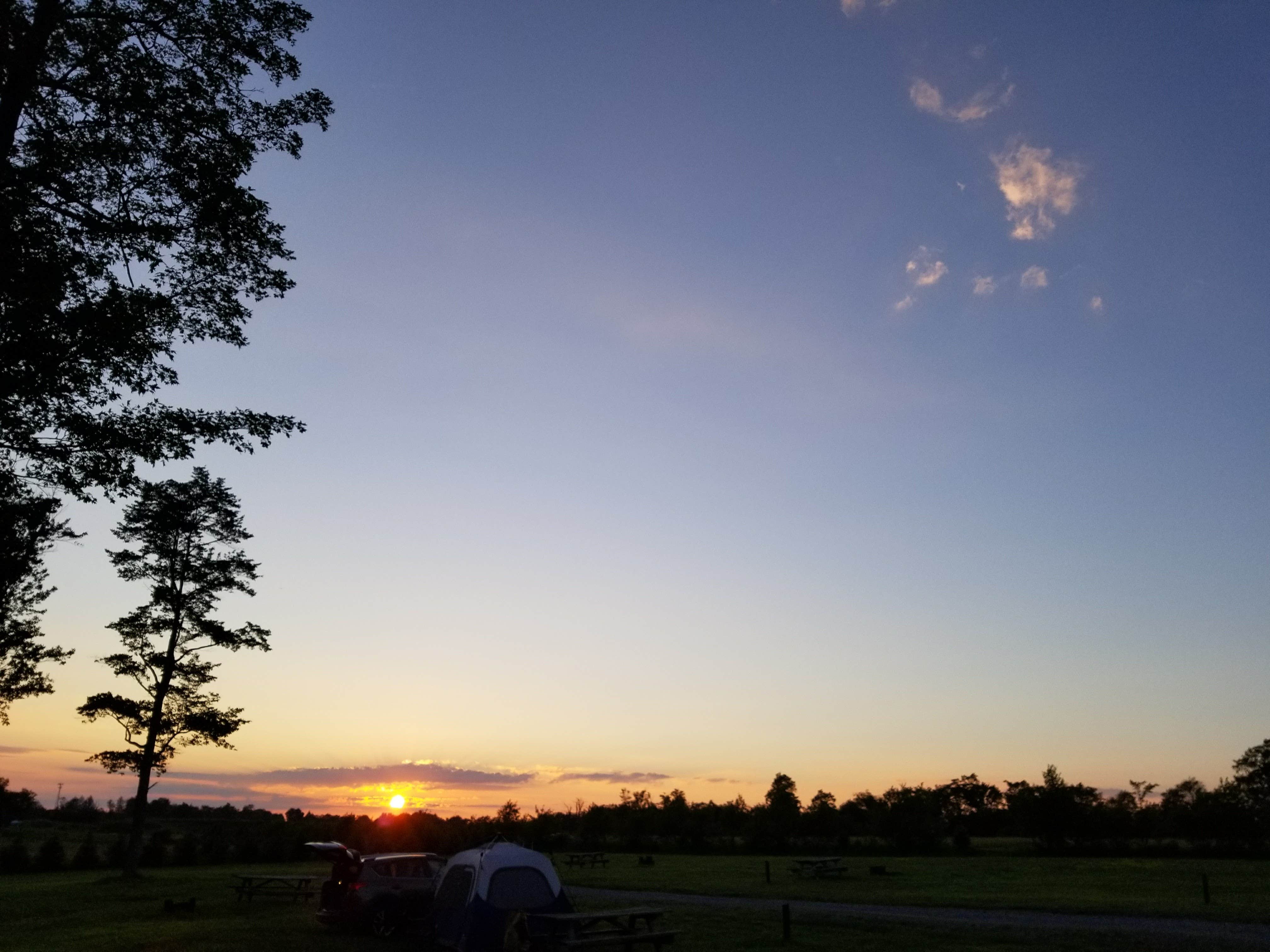 Marissa G.'s photo at Cherry Springs State Park Campground near Driftwood, PA