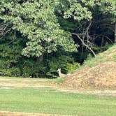 Review photo of Paris Landing-Kentucky Lake KOA by Robert S., September 20, 2021