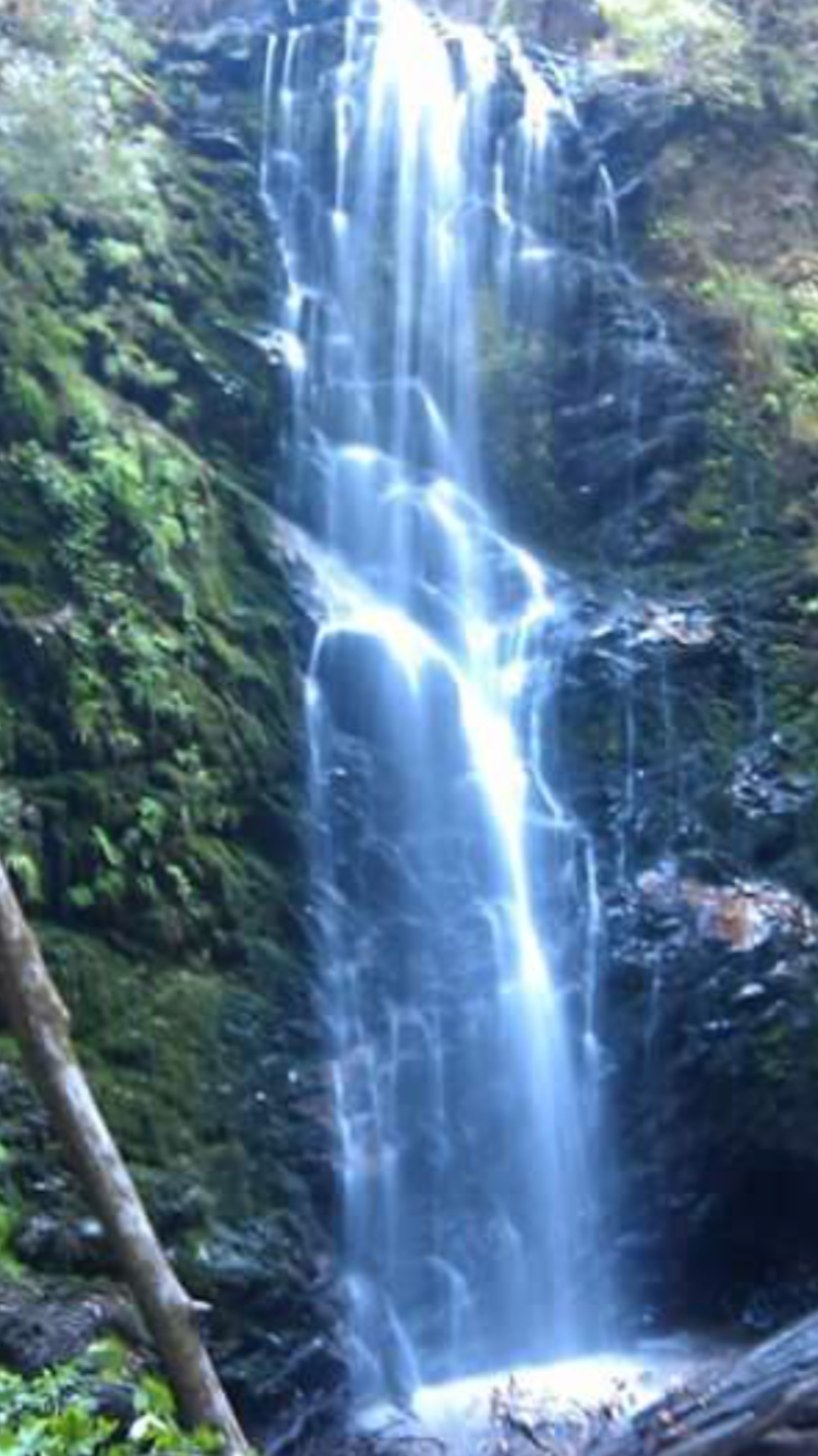 Lower Blooms Creek — Big Basin Redwoods State Park — CAMPGROUND CLOSED
