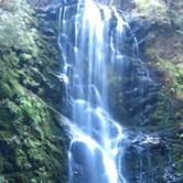 Review photo of Lower Blooms Creek — Big Basin Redwoods State Park — CAMPGROUND CLOSED by Andrew D., June 30, 2018