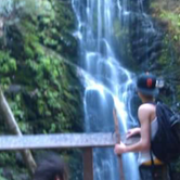 Review photo of Lower Blooms Creek — Big Basin Redwoods State Park — CAMPGROUND CLOSED by Andrew D., June 30, 2018