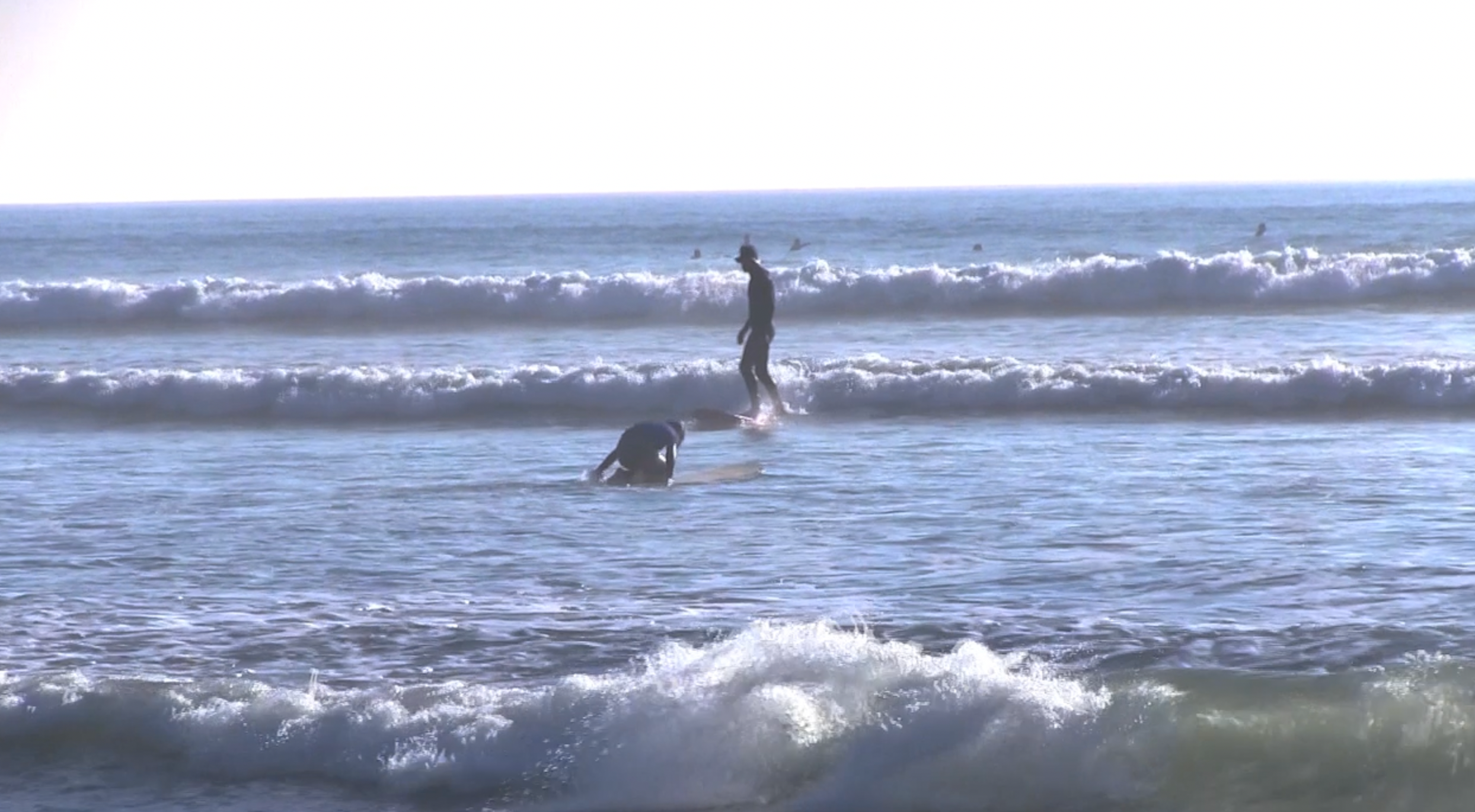 Momma H.'s photo of camping with pets at San Onofre Recreation Beach and Camping near Ladera Ranch, CA