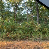 Review photo of Danville Conservation Area by William S., September 20, 2021