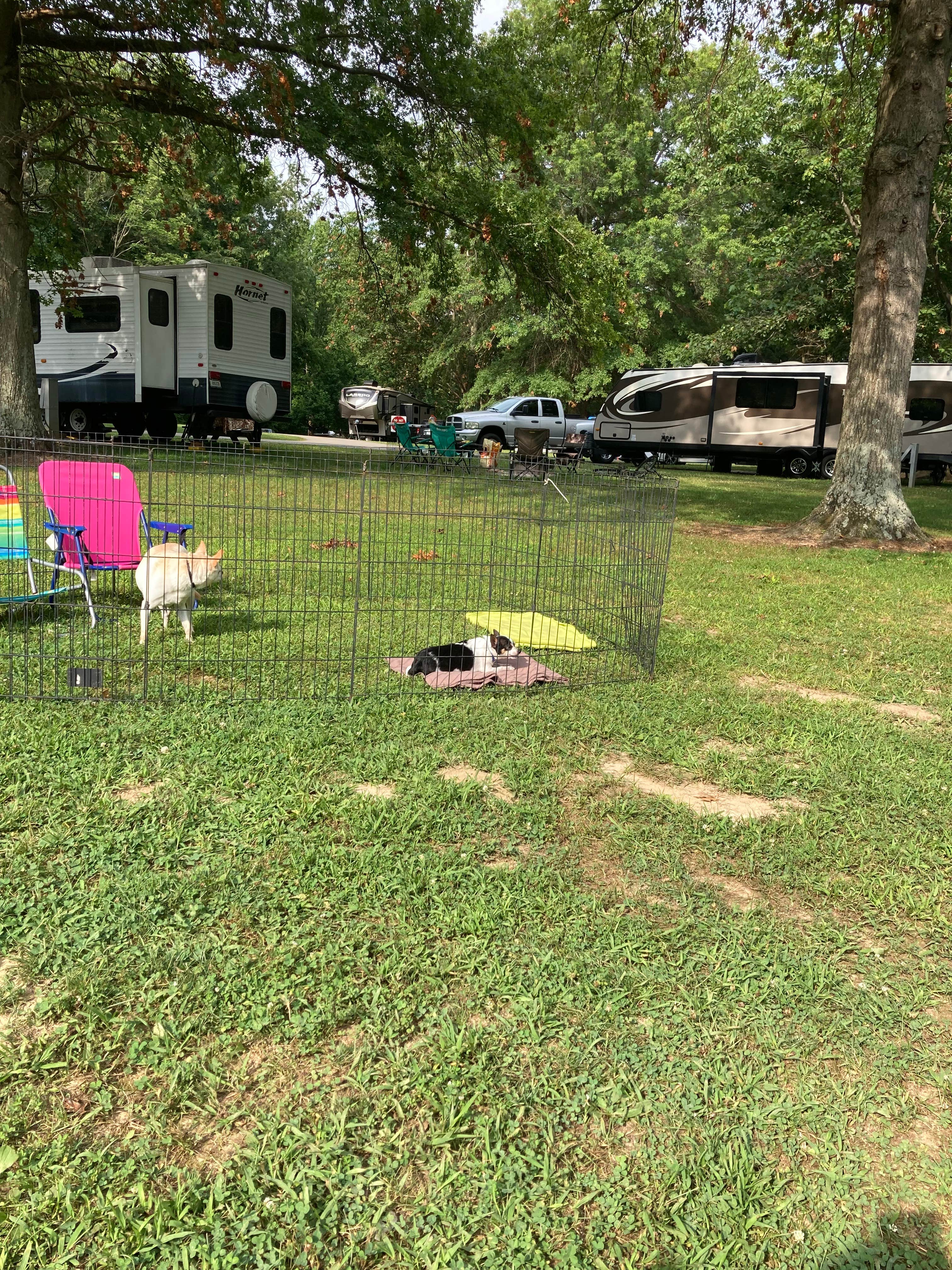 Camper submitted image from Brookville Lake Quakertown State Recreation Area - 1