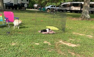 Don N.'s photo at Quakertown State Recreation Area Campground — Brookville Lake near East Connersville, IN
