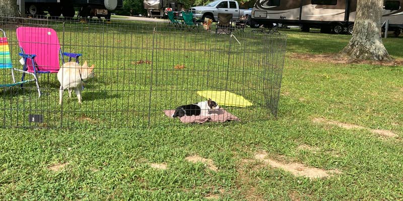 Camper submitted image from Quakertown State Recreation Area Campground — Brookville Lake