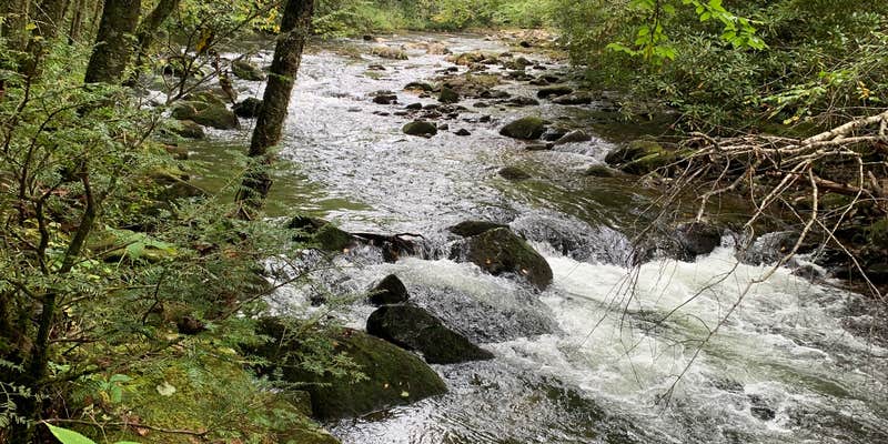 Camper submitted image from Snowbird Camping