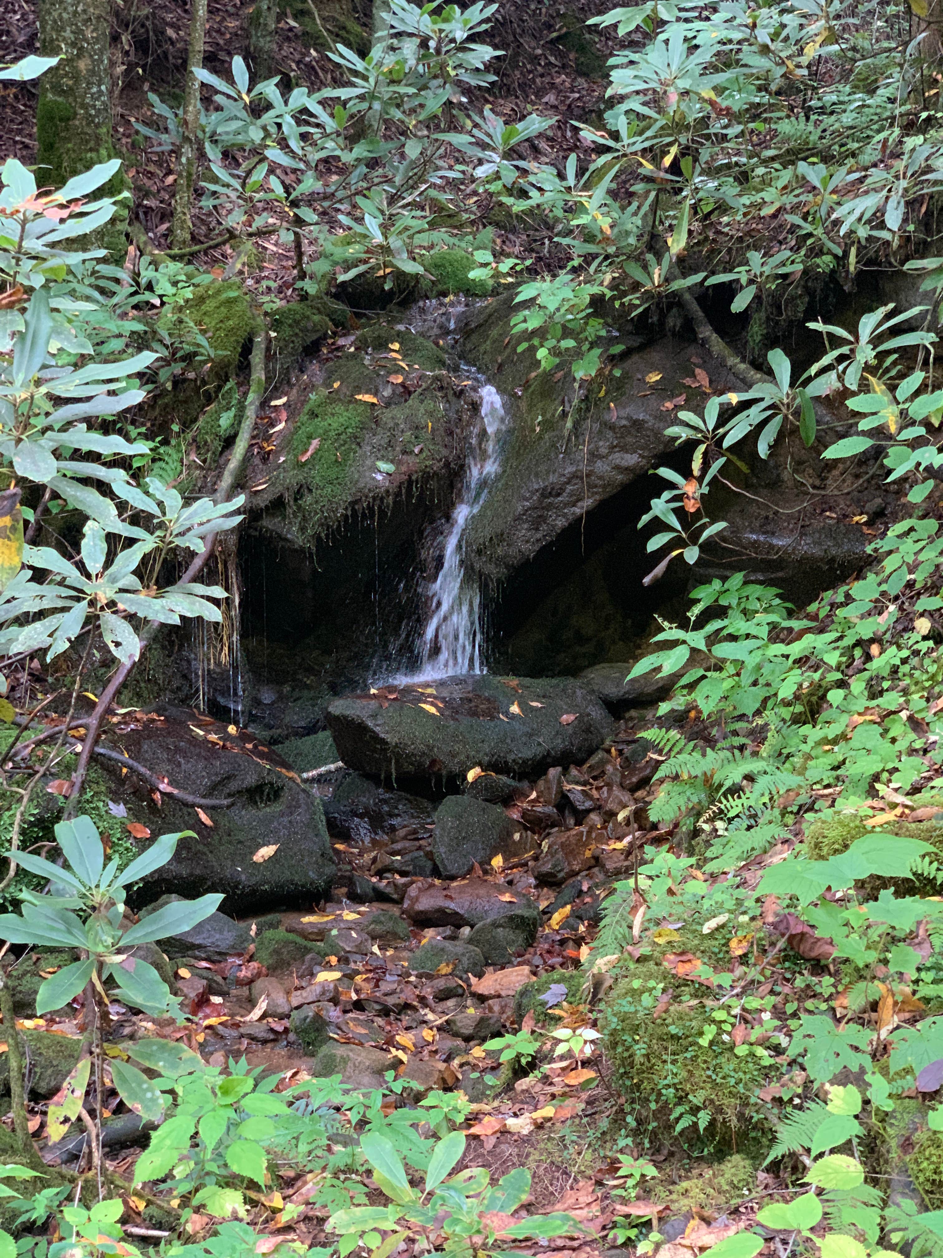 Camper-submitted photo at Snowbird Camping near Murphy, NC