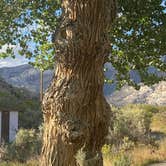 Review photo of Green River Campground — Dinosaur National Monument by Tom J., September 20, 2021