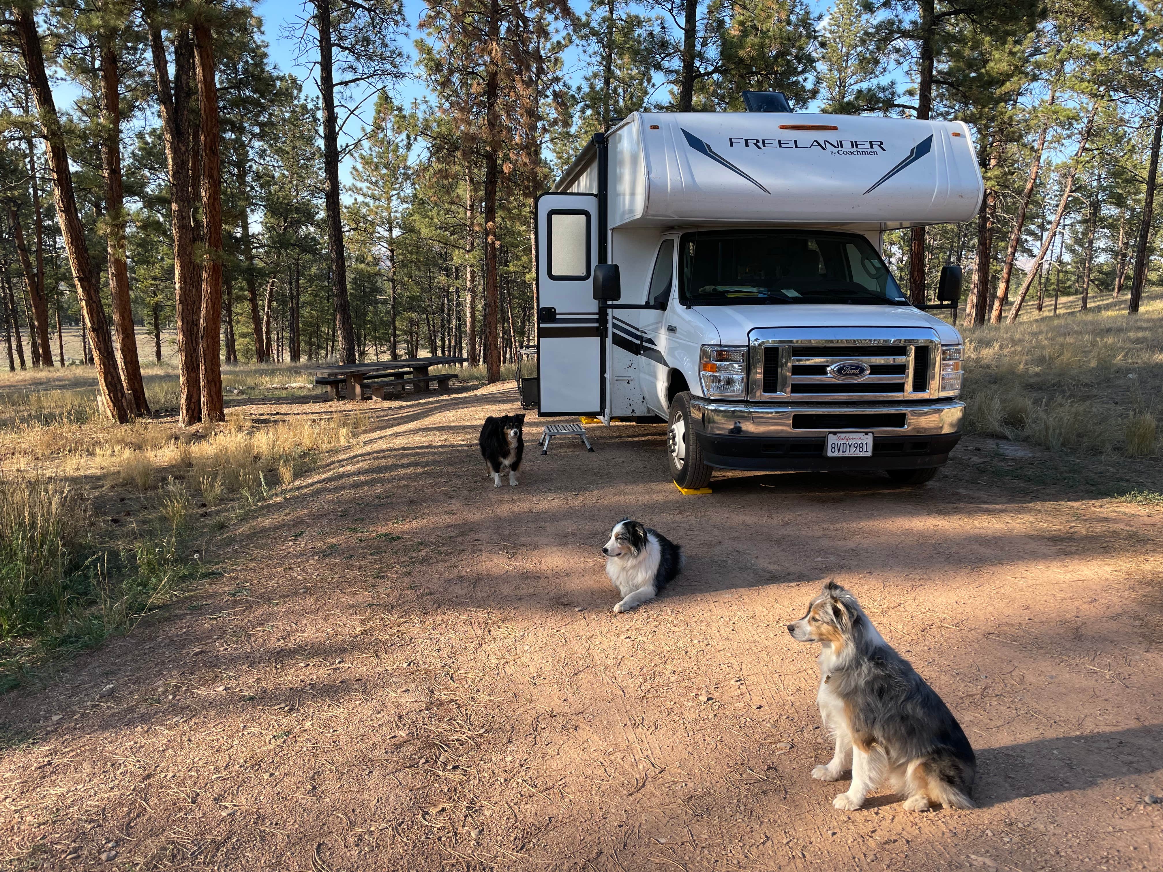 Lori T.'s photo of rv camping at Red Shale Campground & Geocache Site near Custer National Forest