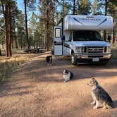 Review photo of Red Shale Campground & Geocache Site by Lori T., September 20, 2021