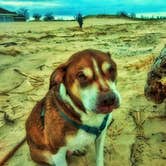 Review photo of Lake Michigan Campground at Muskegon State Park Campground by Ryan L T., September 21, 2021