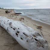 Review photo of Lake Michigan Campground at Muskegon State Park Campground by Ryan L T., September 21, 2021