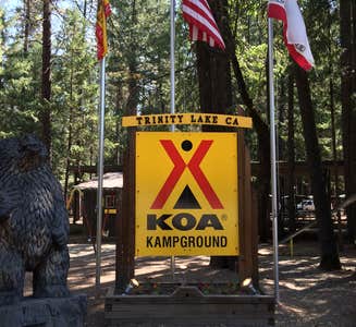 Camper-submitted photo from Trinity Lake KOA Holiday