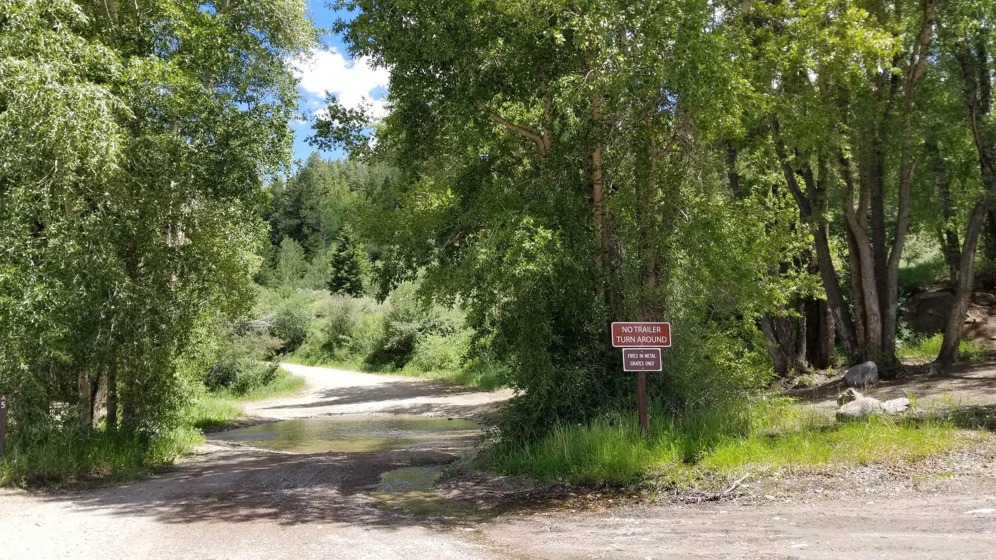 Camper submitted image from Elliott Creek Campground (Co) — White River National Forest - 3