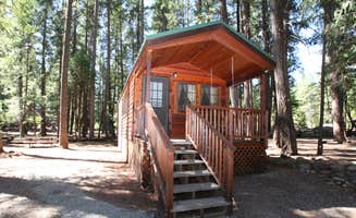 OAK M.'s photo of glamping accommodations at Trinity Lake KOA Holiday near Cottonwood, CA