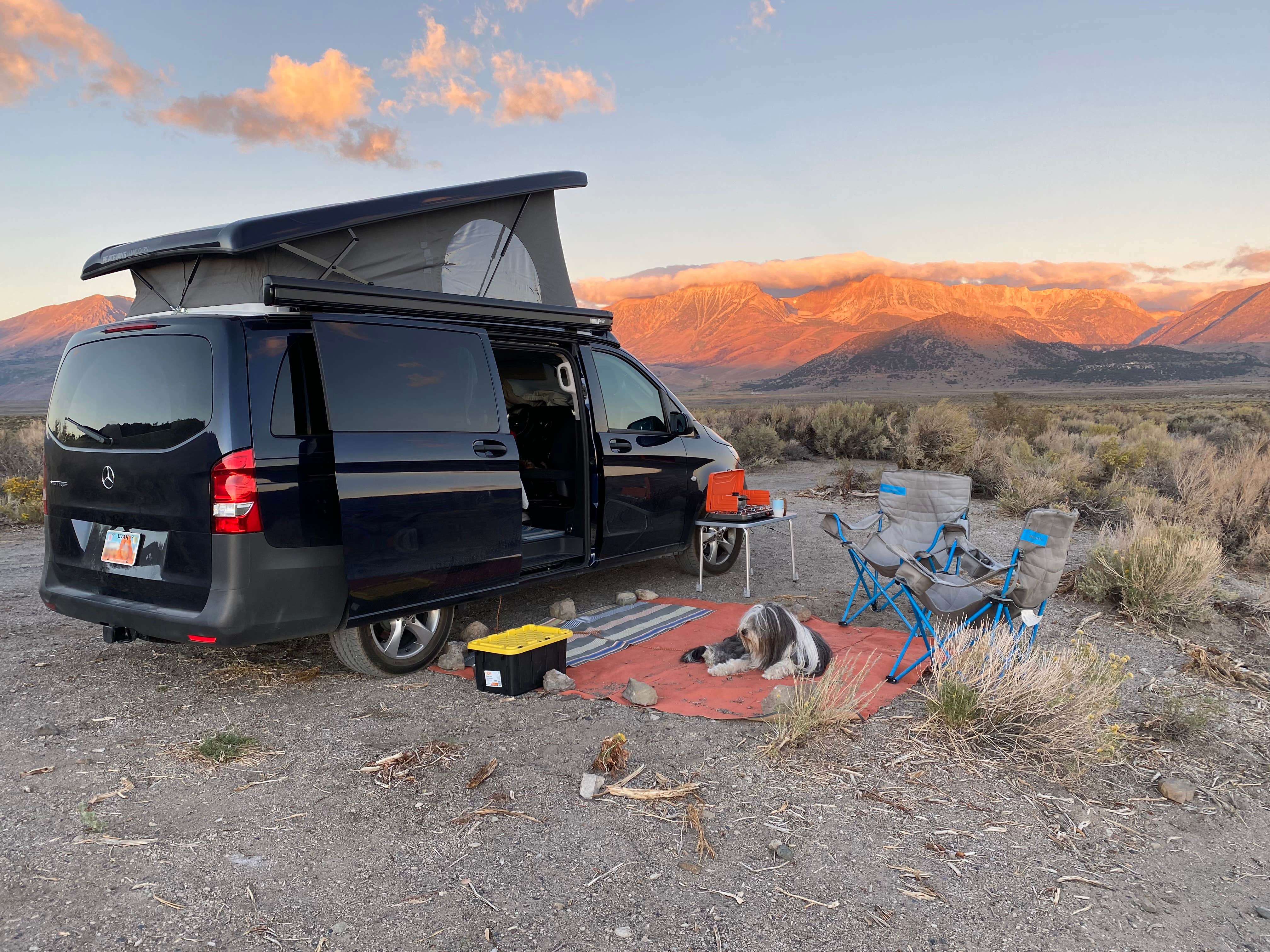 Camper submitted image from Mono Basin Dispersed Camp Site - 5