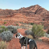 Review photo of Red Cliffs Campground by Santiago V., September 21, 2021