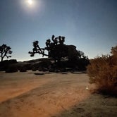 Review photo of Hidden Valley Campground — Joshua Tree National Park by Santiago V., September 21, 2021
