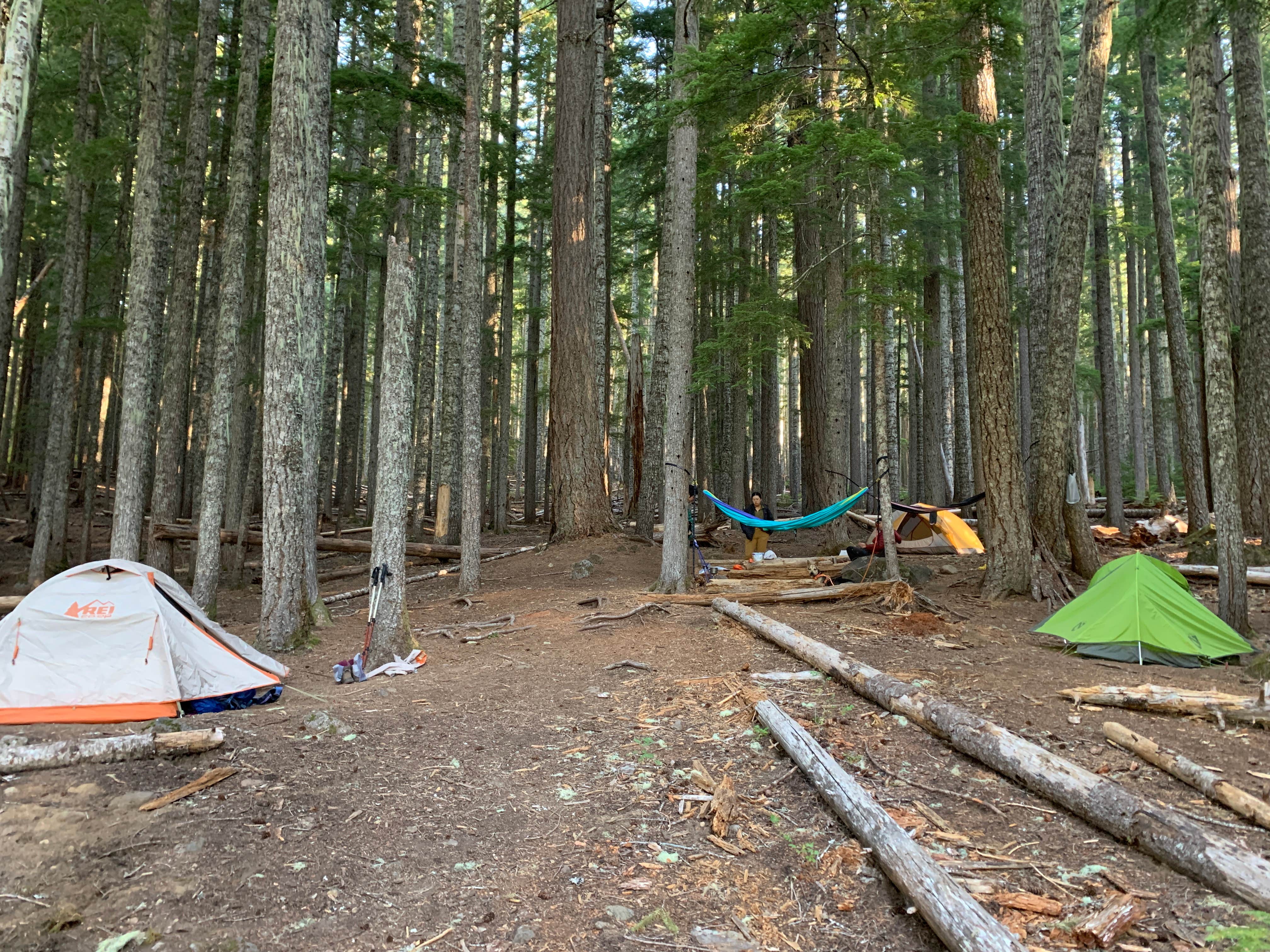 Audrey M.'s photo of tent camping at Pamelia Lake near Cloverdale, OR