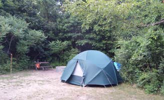 Michelle M.'s photo at Warren Dunes State Park Campground near Bridgman, MI