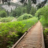 Review photo of Moraine Campground — Kings Canyon National Park by Azizah T., September 21, 2021