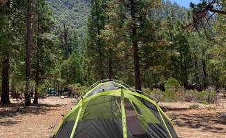 Azizah T.'s photo at Moraine Campground — Kings Canyon National Park near Sequoia & Kings Canyon National Parks