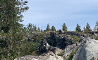Azizah T.'s photo of camping with pets at Loch Leven Lakes near Norden, CA