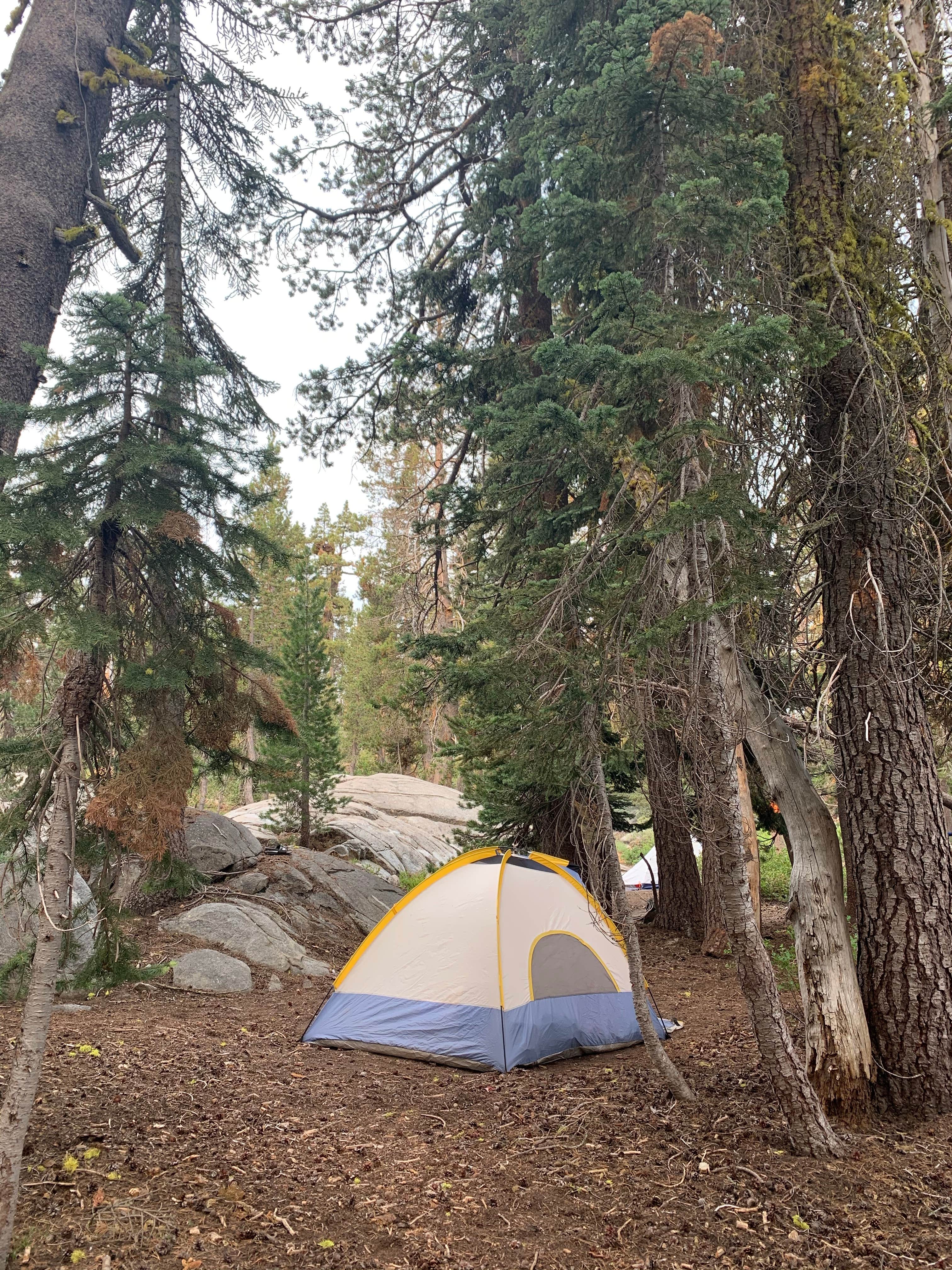 Camper submitted image from Loch Leven Lakes - 5