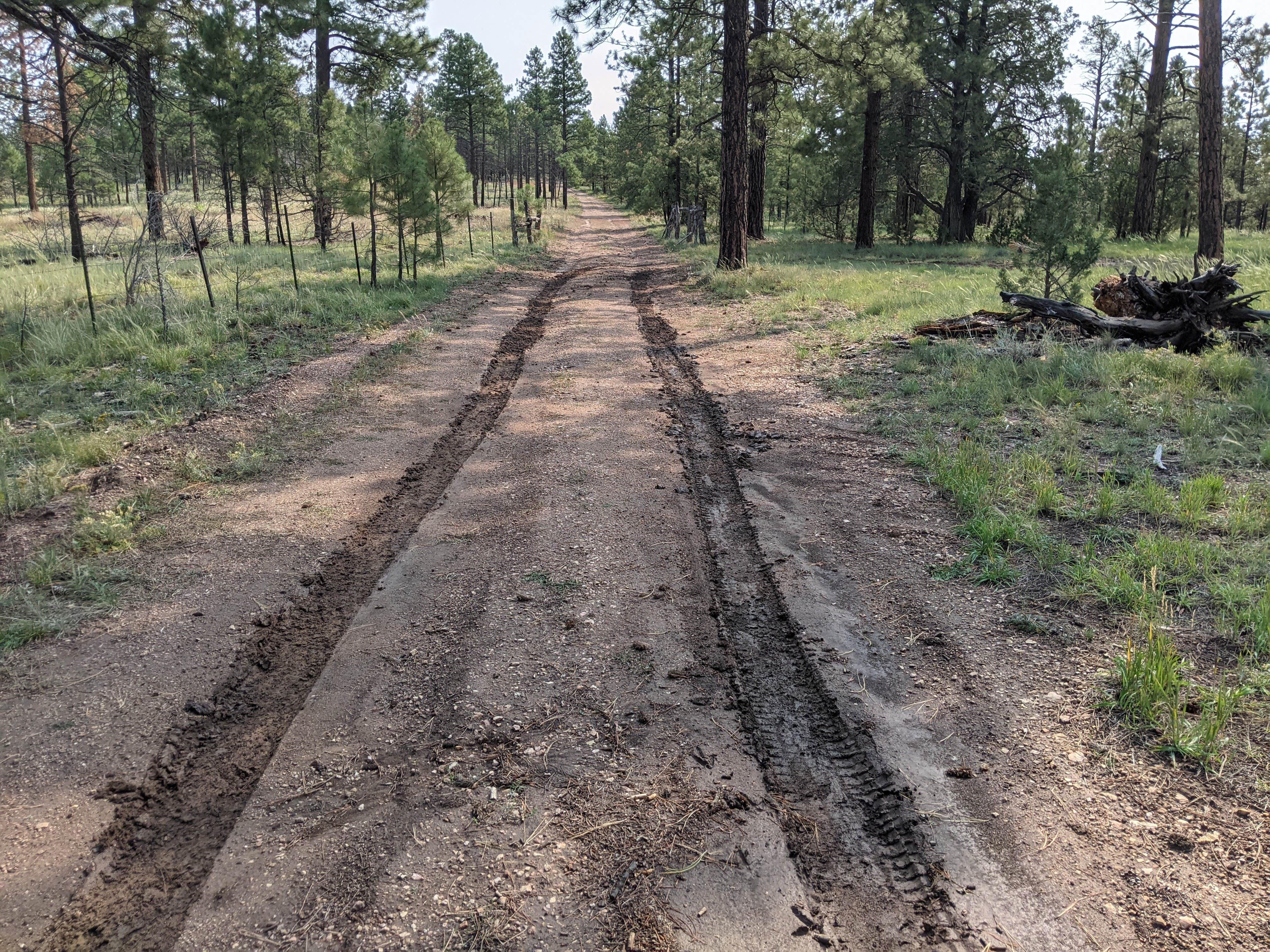 Camper-submitted photo at FS Road #257 Dispersed Camping near Page, AZ