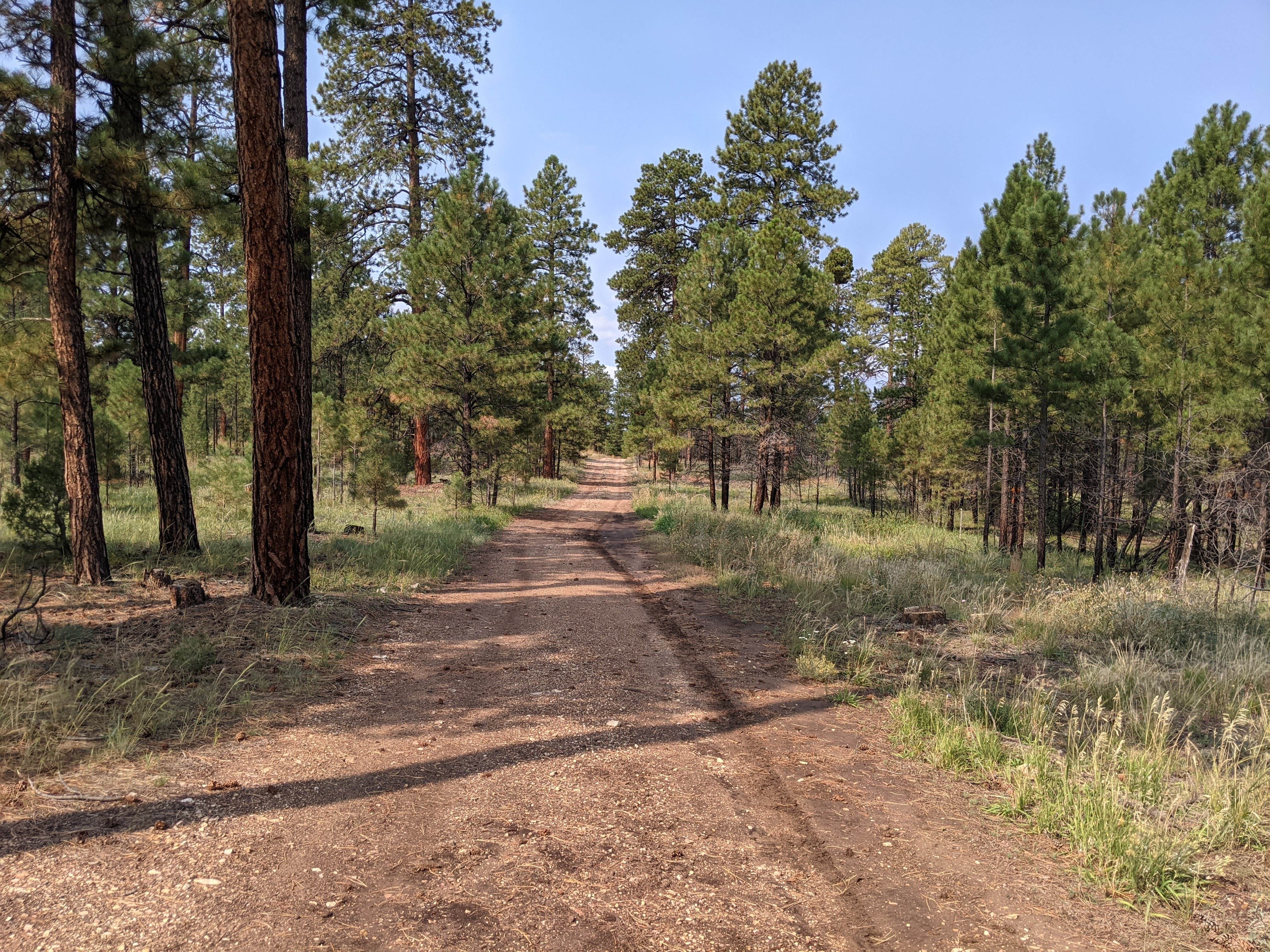 Camper-submitted photo at FS Road #257 Dispersed Camping near Page, AZ