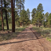 Review photo of FS Road #257 Dispersed Camping by Greg L., September 21, 2021