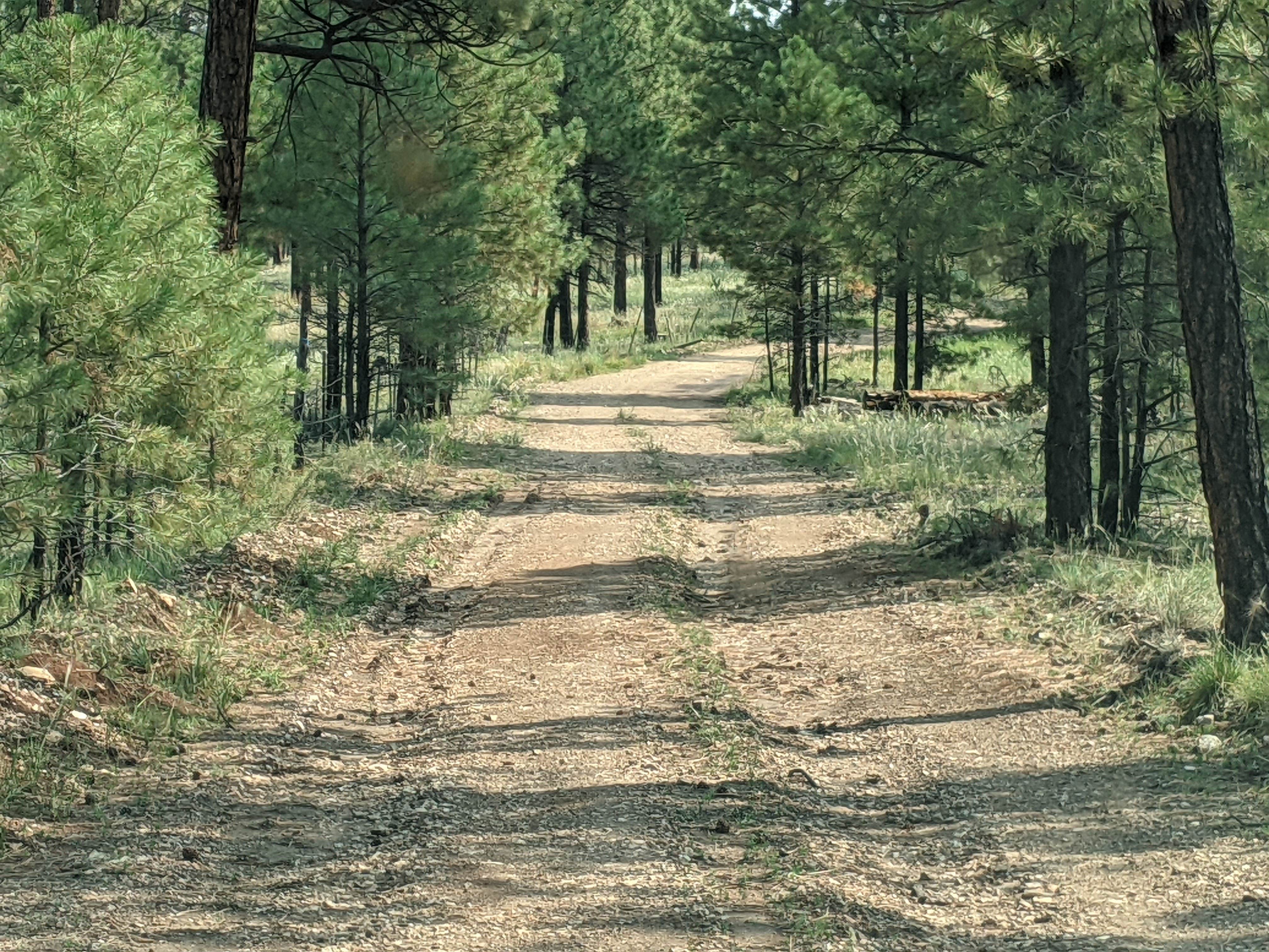 Camper-submitted photo at FS Road #257 Dispersed Camping near Page, AZ