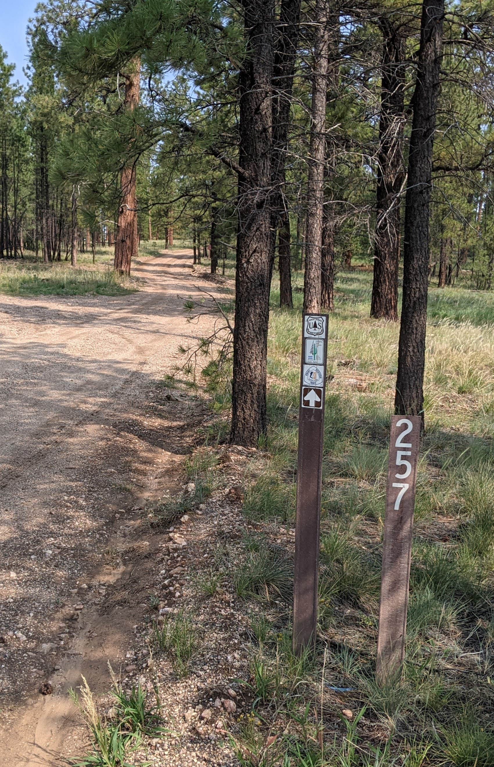 Camper-submitted photo at FS Road #257 Dispersed Camping near Page, AZ