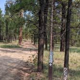 Review photo of FS Road #257 Dispersed Camping by Greg L., September 21, 2021