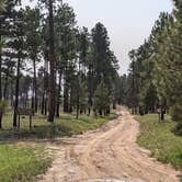 Review photo of Forest Service #225 Road Dispersed Camping by Greg L., September 21, 2021