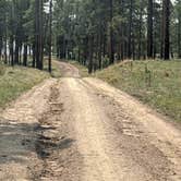 Review photo of Forest Service #225 Road Dispersed Camping by Greg L., September 21, 2021