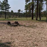 Review photo of Forest Service #225 Road Dispersed Camping by Greg L., September 21, 2021