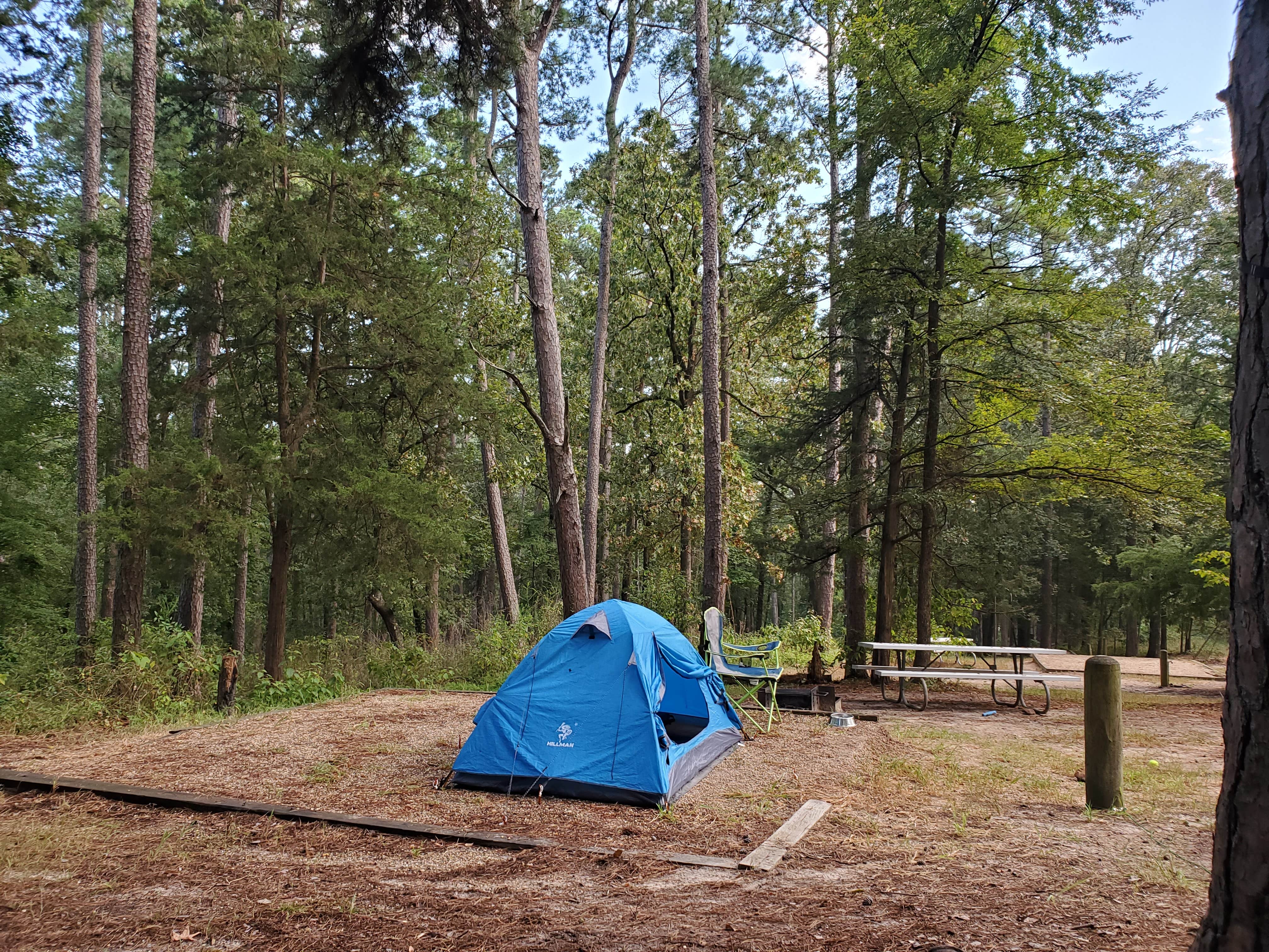 Veronica S.'s photo at Daingerfield State Park Campground near Pittsburg, TX