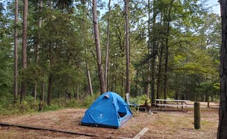 Veronica S.'s photo at Daingerfield State Park Campground near Jefferson, TX