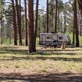 Review photo of Forest Service Rd #205/225 Upper Dispersed Camping by Greg L., September 21, 2021