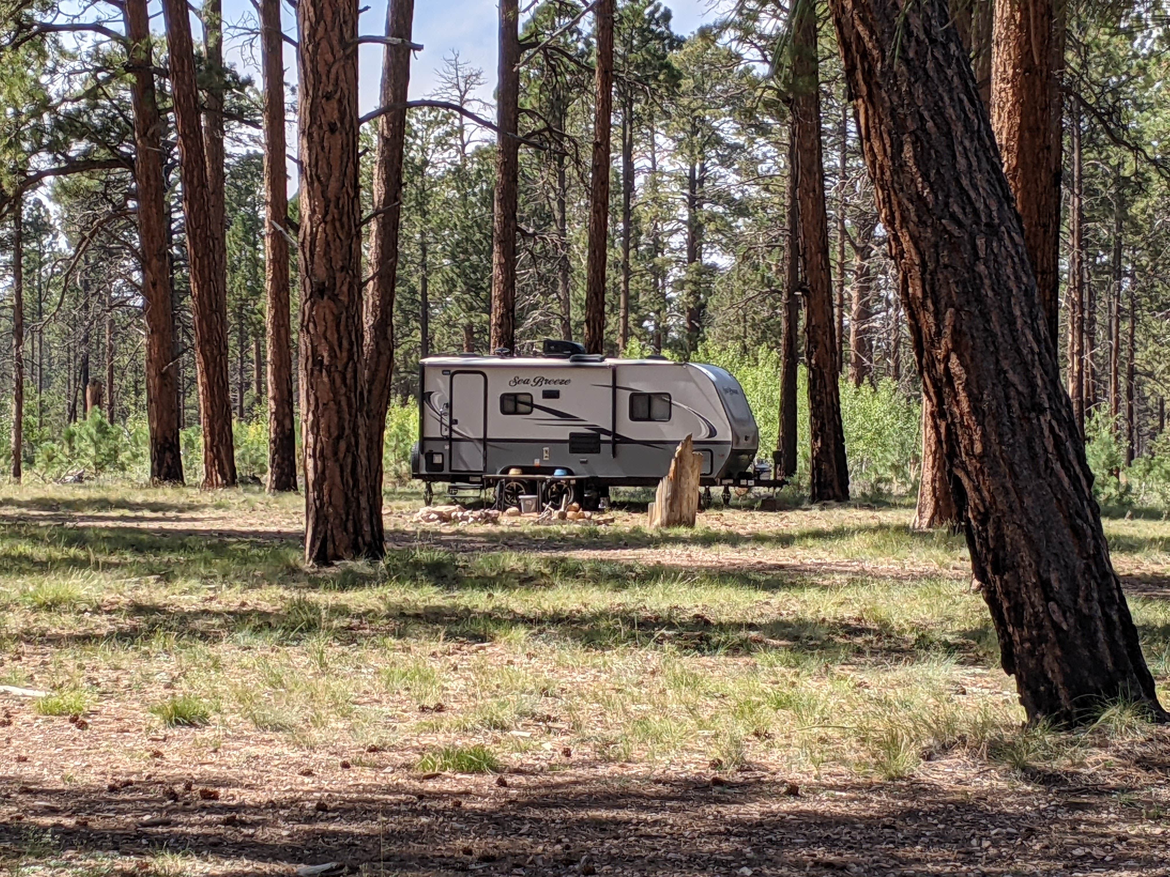 Camper submitted image from Forest Service Rd #205/225 Upper Dispersed Camping - 5