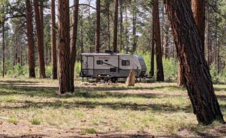 Greg L.'s photo at Forest Service Rd #205/225 Upper Dispersed Camping in Arizona